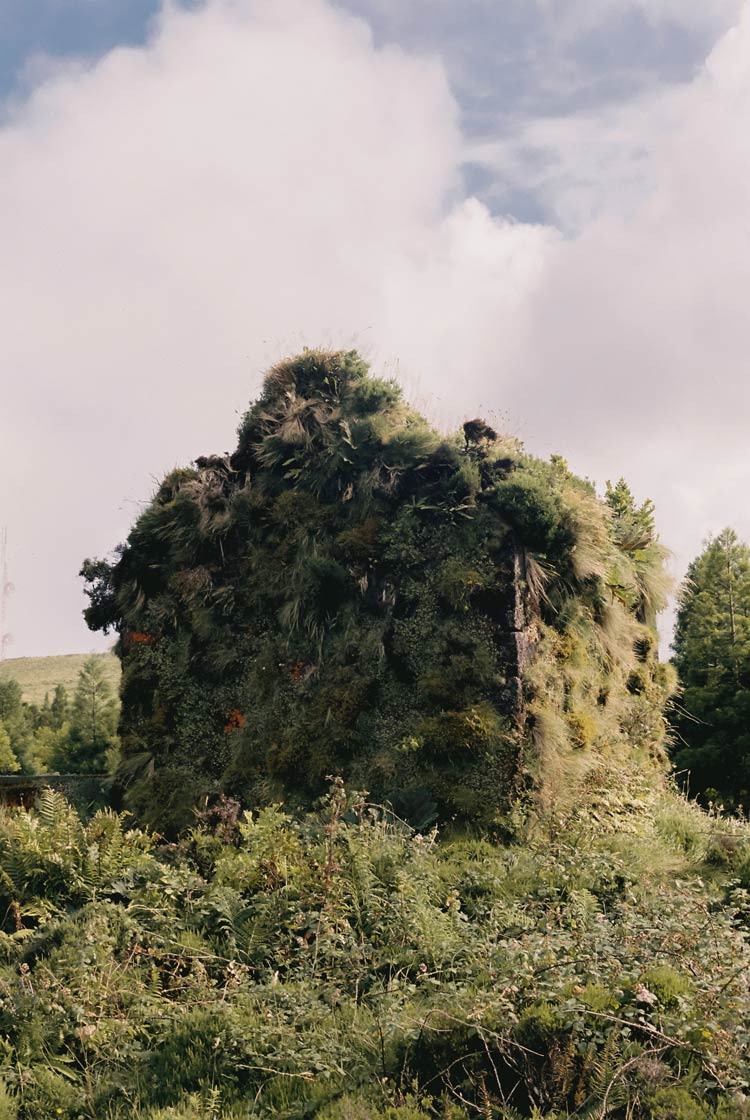 Açores